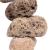 Java Lava Kebab Stone - naturalny kebab z kamieniami Lava i drzewem Java L od ParrotPlanet.pl