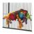 Perchoir en Bois avec Jouets pour Perroquets - 40 cm, Parrot Planet.fr