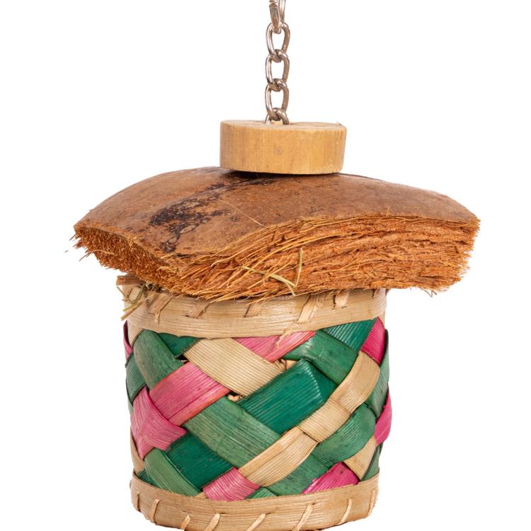 Jouet Naturel pour Perroquets | 2 Boîtes en Coquillage à Manger et Jouer de ParrotPlanet.fr
