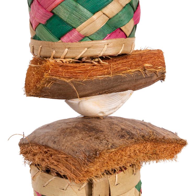 Jouet Naturel pour Perroquets | 2 Boîtes en Coquillage à Manger et Jouer de ParrotPlanet.fr