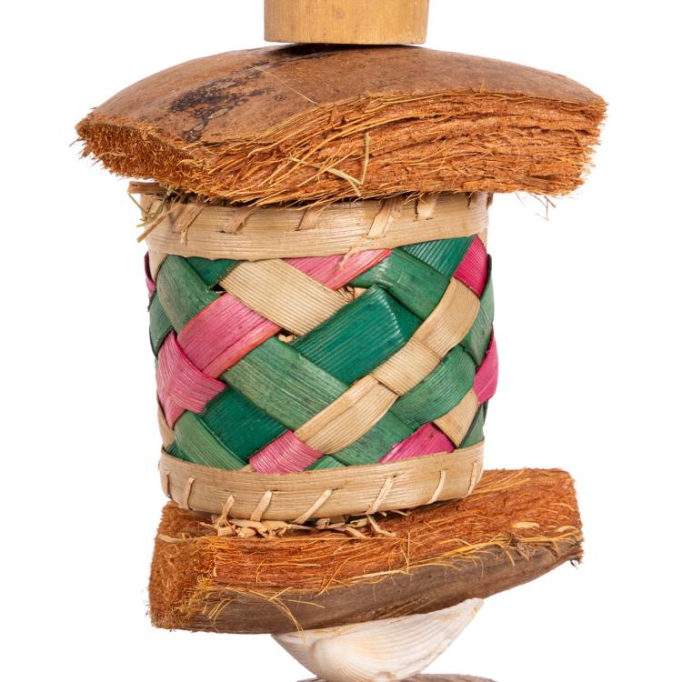 Jouet Naturel pour Perroquets | 2 Boîtes en Coquillage à Manger et Jouer de ParrotPlanet.fr