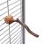 Perchoir Naturel en Liane avec Support | Taille M - 30 cm pour Perruches et Perroquets de ParrotPlanet.fr