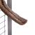 Perchoir Naturel en Liane avec Support | Taille M - 30 cm pour Perruches et Perroquets de ParrotPlanet.fr