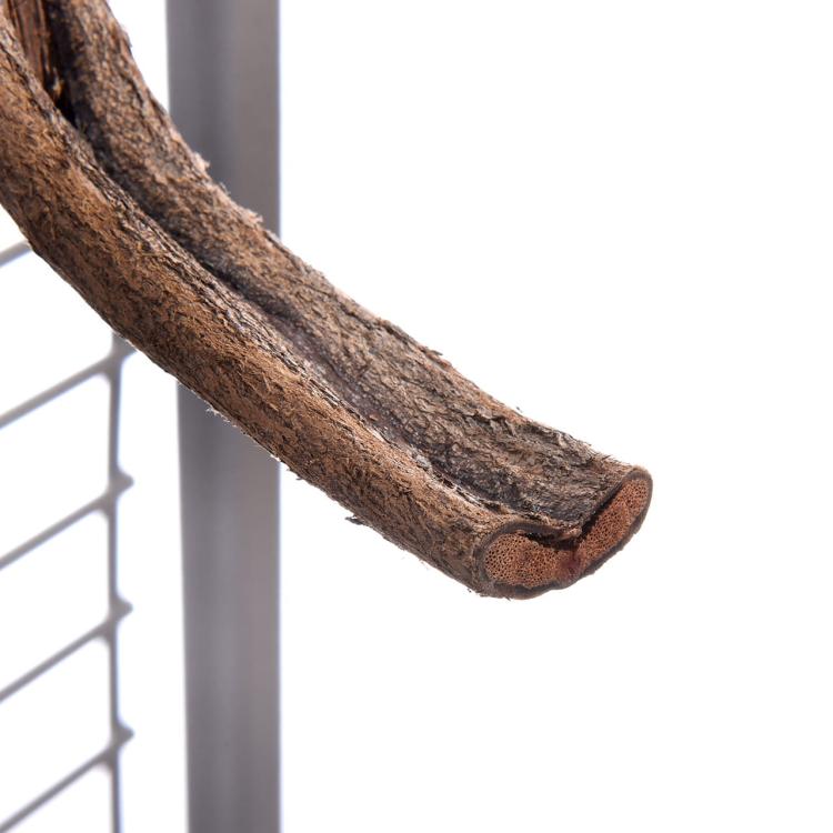Perchoir Naturel en Liane avec Support | Taille M - 30 cm pour Perruches et Perroquets de ParrotPlanet.fr
