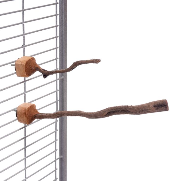 Perchoir Naturel en Liane avec Support | Taille M - 30 cm pour Perruches et Perroquets de ParrotPlanet.fr