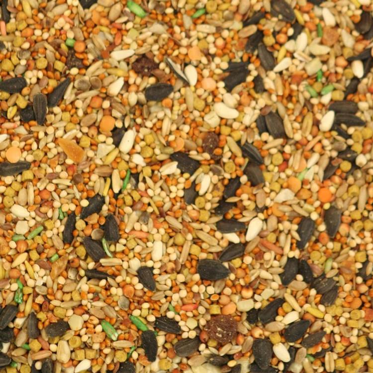 Hagen Gourmet Cockatiel Seed Mix - Pełnowartościowy pokarm wysokiej jakości dla nimf i małych papug 1.13kg od ParrotPlanet.pl
