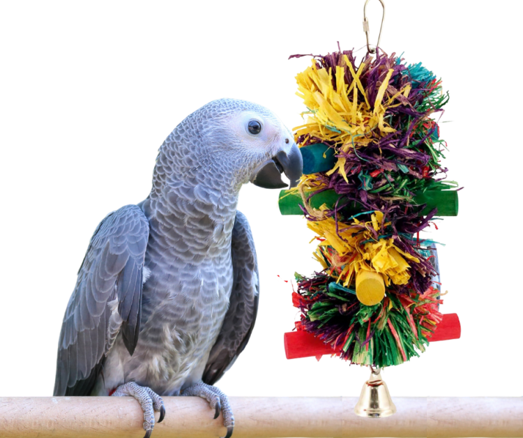 Pom Pom | Zabawka z liści dla średnich papug od ParrotPlanet.pl