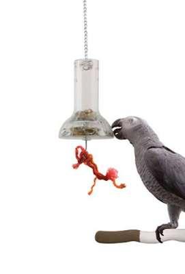 Spryciulak - zabawka bufet dla każdej papugi od ParrotPlanet.pl