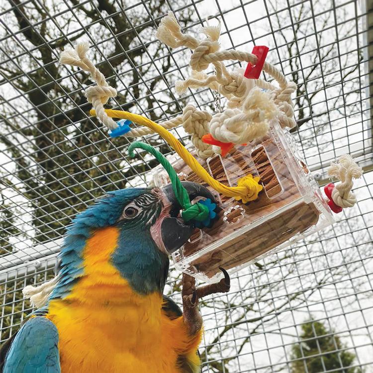 Crazy Box M | Ekstremalnie Trwała Zabawka Wielokrotnego Użycia | dla średnich i dużych papug od ParrotPlanet.pl
