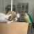 Jouet en Bois Naturel pour Perroquets | Parrot Planet.fr
