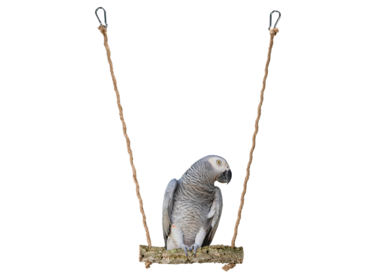 Balancoire naturelle en liège pour perruches et oiseaux de taille moyenne de ParrotPlanet.fr