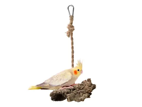Hamac naturel en liège de chêne pour petits et moyens perroquets de ParrotPlanet.fr