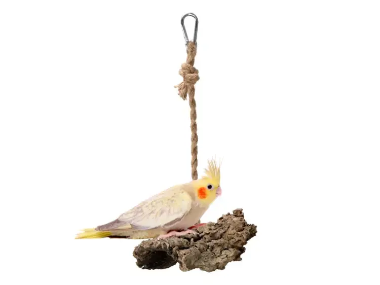 Hamac naturel en liège de chêne pour petits et moyens perroquets de ParrotPlanet.fr