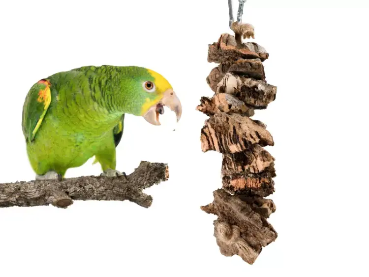 Bille de mastication naturelle en liège pour petits et moyens perroquets de ParrotPlanet.fr