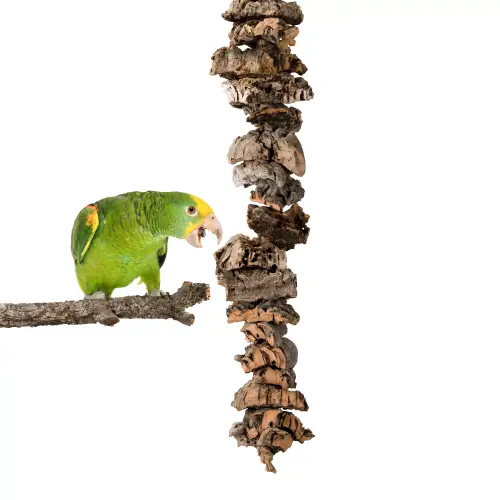 Jouet naturel en écorce de chêne-liège XL | Jouet à ronger pour perroquets moyens et grands | liège naturel | ParrotPlanet.fr