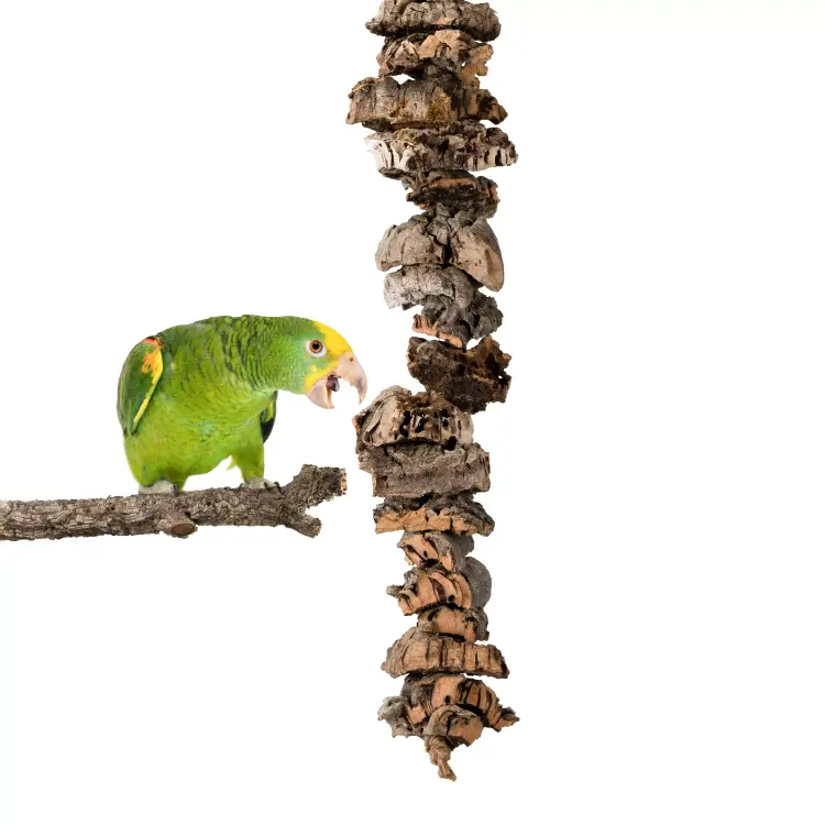 Jouet naturel en écorce de chêne-liège XL | Jouet à ronger pour perroquets moyens et grands | liège naturel | ParrotPlanet.fr