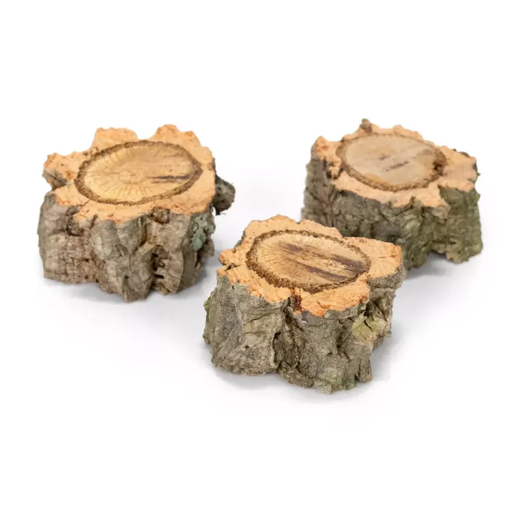 Jouets à ronger en liège pour perroquets | Lot de 3 | Jouet naturel et sécurisé de ParrotPlanet.fr