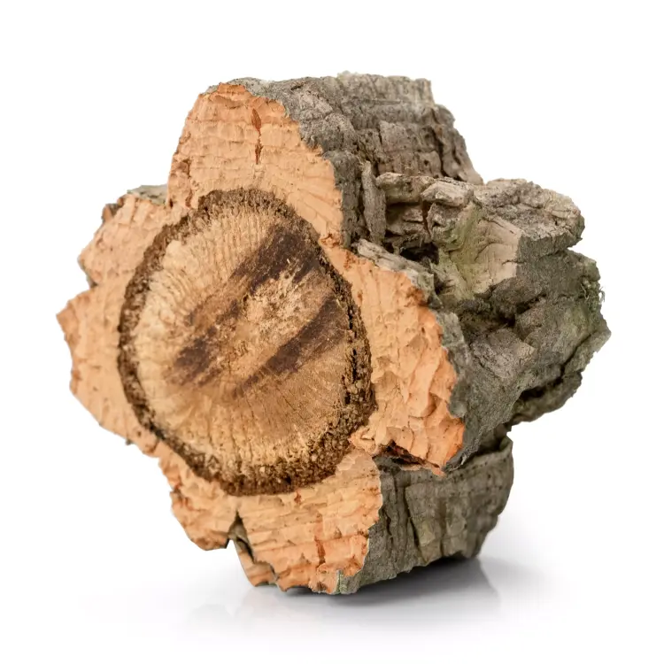 Jouets à ronger en liège pour perroquets | Lot de 3 | Jouet naturel et sécurisé de ParrotPlanet.fr