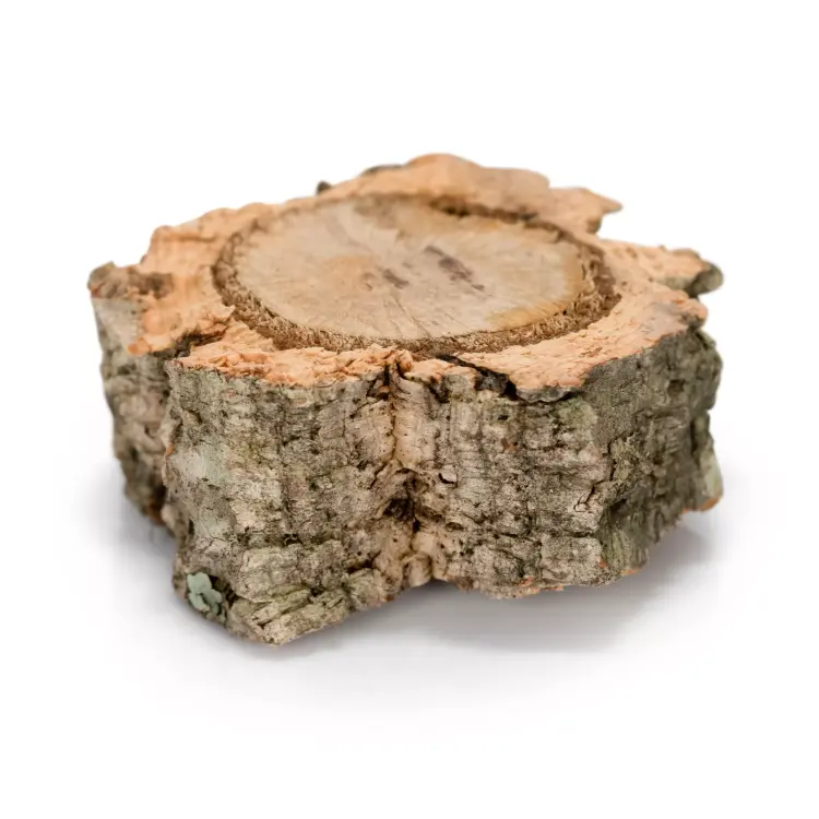 Jouets à ronger en liège pour perroquets | Lot de 3 | Jouet naturel et sécurisé de ParrotPlanet.fr