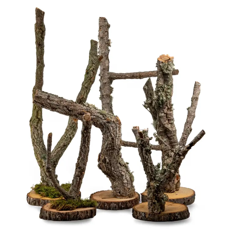 Support pour perroquet en chêne liège | Arbre naturel de 30 cm de ParrotPlanet.fr