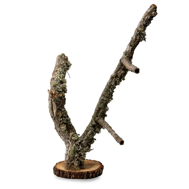 Support pour perroquet en chêne liège | Arbre naturel de 30 cm de ParrotPlanet.fr