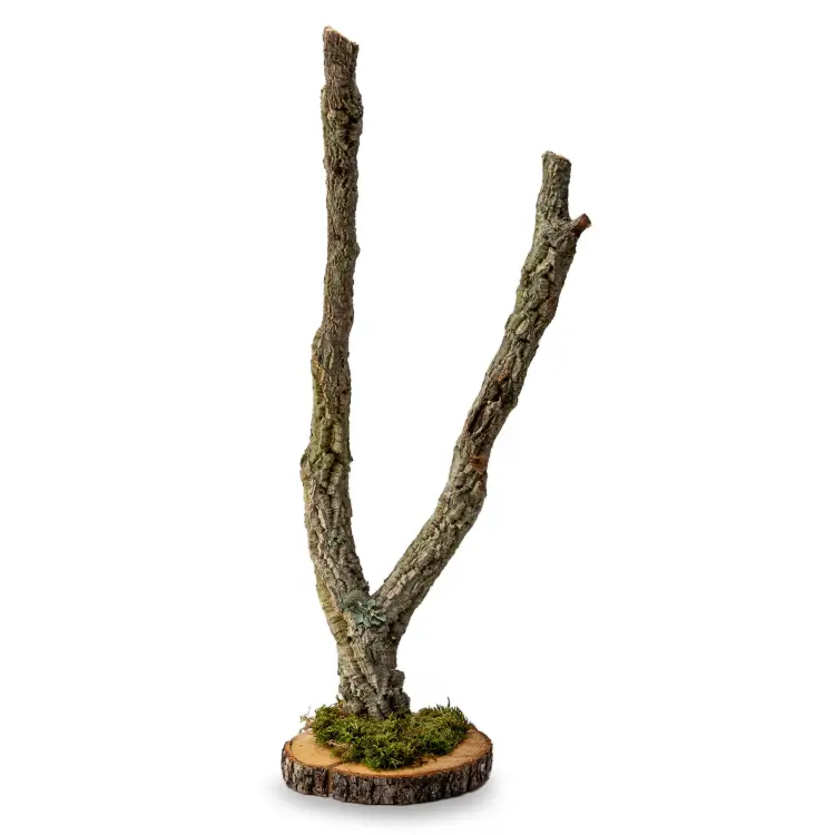 Support pour perruches en chêne liège | Arbre à grimper 40 cm de ParrotPlanet.fr