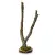 Perchoir en chêne liège pour perruches - 60 cm, arbre naturel pour jeux et loisirs  de ParrotPlanet.fr