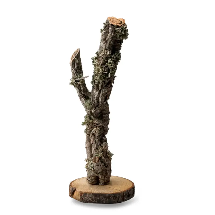 Perchoir en chêne liège pour perruches - 60 cm, arbre naturel pour jeux et loisirs  de ParrotPlanet.fr