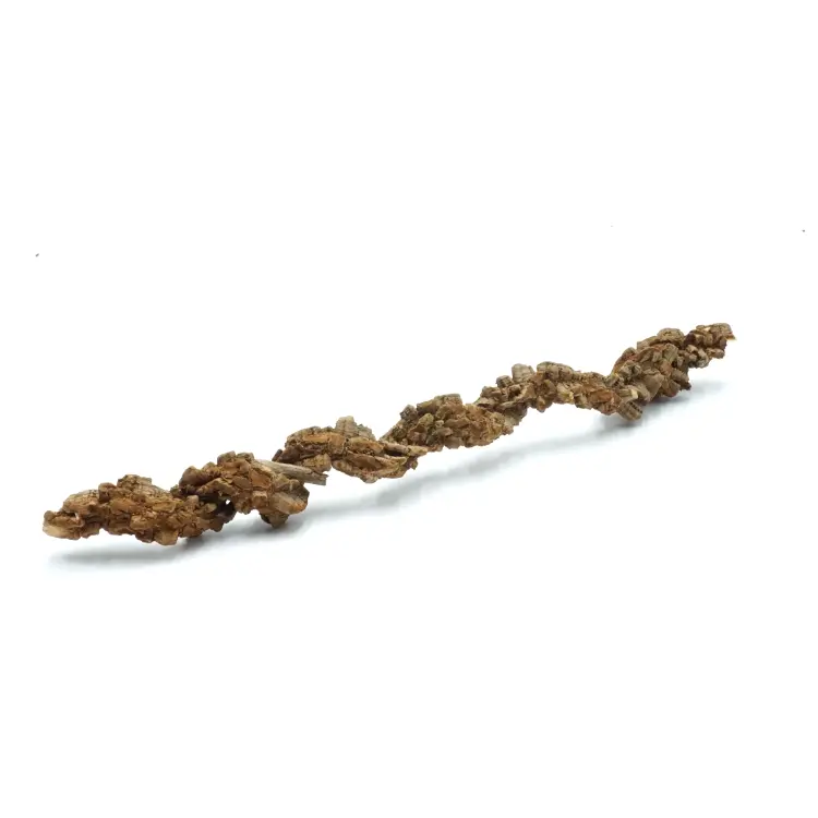 Perchoir en Écorce de Chêne-Liège – 1 pièce | 50 cm | pour grandes perruches et perroquets de ParrotPlanet.fr