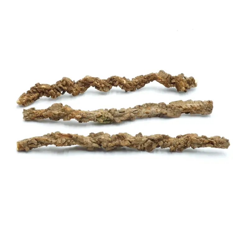 Perchoir en Écorce de Chêne-Liège – 1 pièce | 50 cm | pour grandes perruches et perroquets de ParrotPlanet.fr