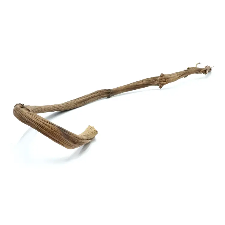 Liane naturelle en bananier pour perroquets 60-70 cm - Parrot Planet.fr