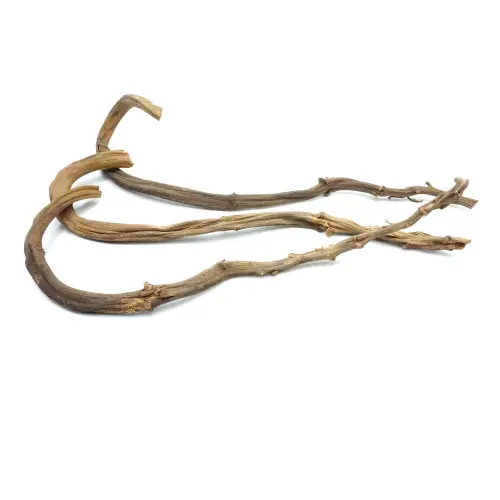 Liane naturelle en bananier pour perroquets 60-70 cm - Parrot Planet.fr