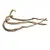 Liane naturelle en bananier pour perroquets 60-70 cm - Parrot Planet.fr