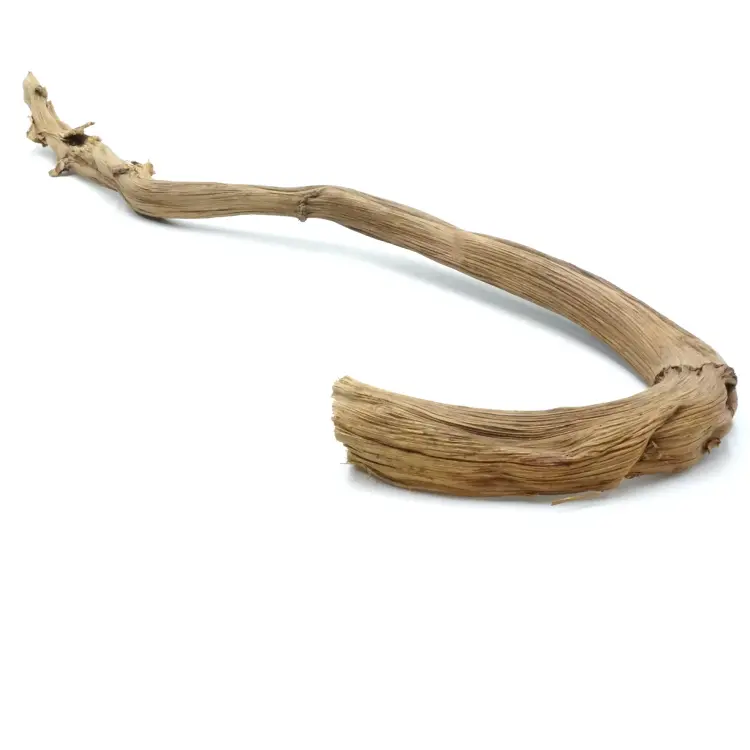Liane naturelle en bananier pour perroquets 60-70 cm - Parrot Planet.fr
