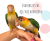 Perroquets à ventre blanc élevés à la main | Parc Papug de ParrotPlanet.fr