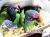 Pionus à tête bleue et Pionus à front blanc – perroquets sociables élevés à la main | Parc Papug | ParrotPlanet.fr