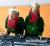 Amazone de Cuba (Amazona leucocephala) | Amazone cubaine | perroquet élevé à la main de ParrotPlanet.fr