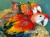 Ara Macao à vendre | Papagei à alimentation manuelle | Parrot Planet .fr