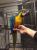 Ara Ararauna - Perroquet élevé à la main | Parc des Perroquets | ParrotPlanet.fr