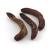 Premium Parrot Food - Naturalnie Suszony Banan - dla wszystkich papug 100g od ParrotPlanet.pl