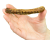 Premium Parrot Food - Naturalnie Suszony Banan - dla wszystkich papug 100g od ParrotPlanet.pl
