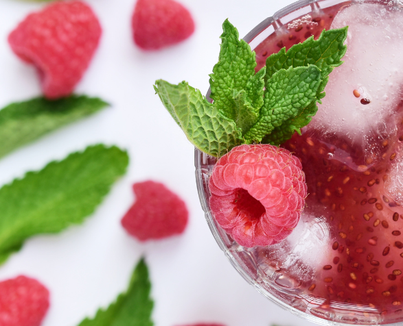 Raspberry Parrot Tea - Organiczny napar, herbatka dla papug malinowa 100g od ParrotPlanet.pl
