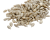 Premium Parrot Food -Ekologiczny Słonecznik Łuskany - dla wszystkich papug 100g od ParrotPlanet.pl