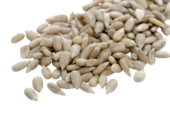 Premium Parrot Food -Ekologiczny Słonecznik Łuskany - dla wszystkich papug 100g od ParrotPlanet.pl