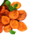 Premium Parrot Food - Dzika Morela Suszona - dla wszystkich papug 100g od ParrotPlanet.pl