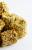 Chips de Topinambour et Brocoli - Snack Santé pour Toutes les Perruches 60g  de ParrotPlanet.fr