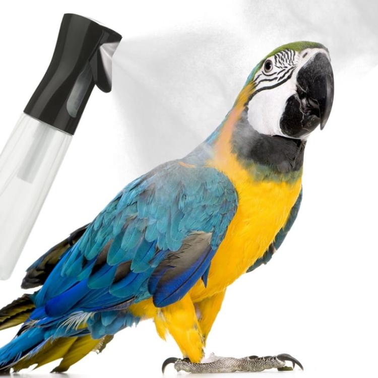 Brumisateur Extreme MistMaker - Atomiseur pour le bain des perroquets 500ml  de ParrotPlanet.fr