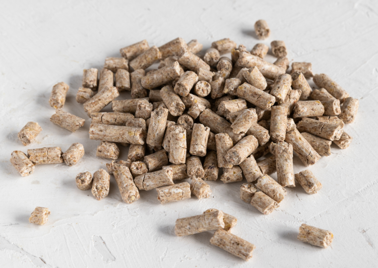 Aliment Premium pour Perroquets - Granulés à la Citrouille 150g de ParrotPlanet.fr