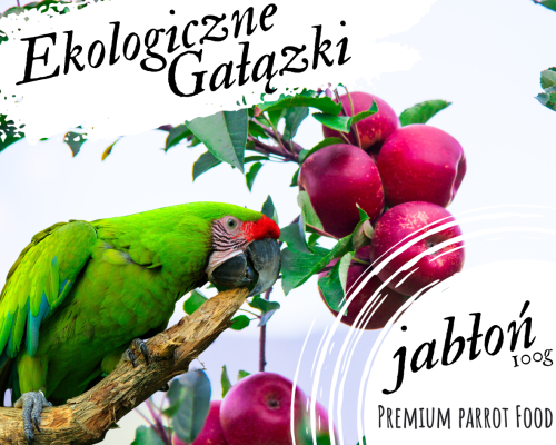 Premium Parrot Food – Branches de Pommier BIO – Friandise saine et savoureuse pour tous les perroquets 100 g de ParrotPlanet.fr