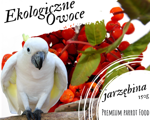 Premium Parrot Food – Sorbier Bio – Friandise saine et savoureuse pour tous les perroquets – 150 g de ParrotPlanet.fr